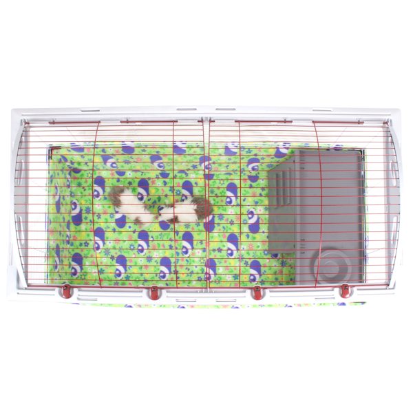 Guinea Pig Cage Setup Living World Rabbit Cage Xl Guinea Pig Cages